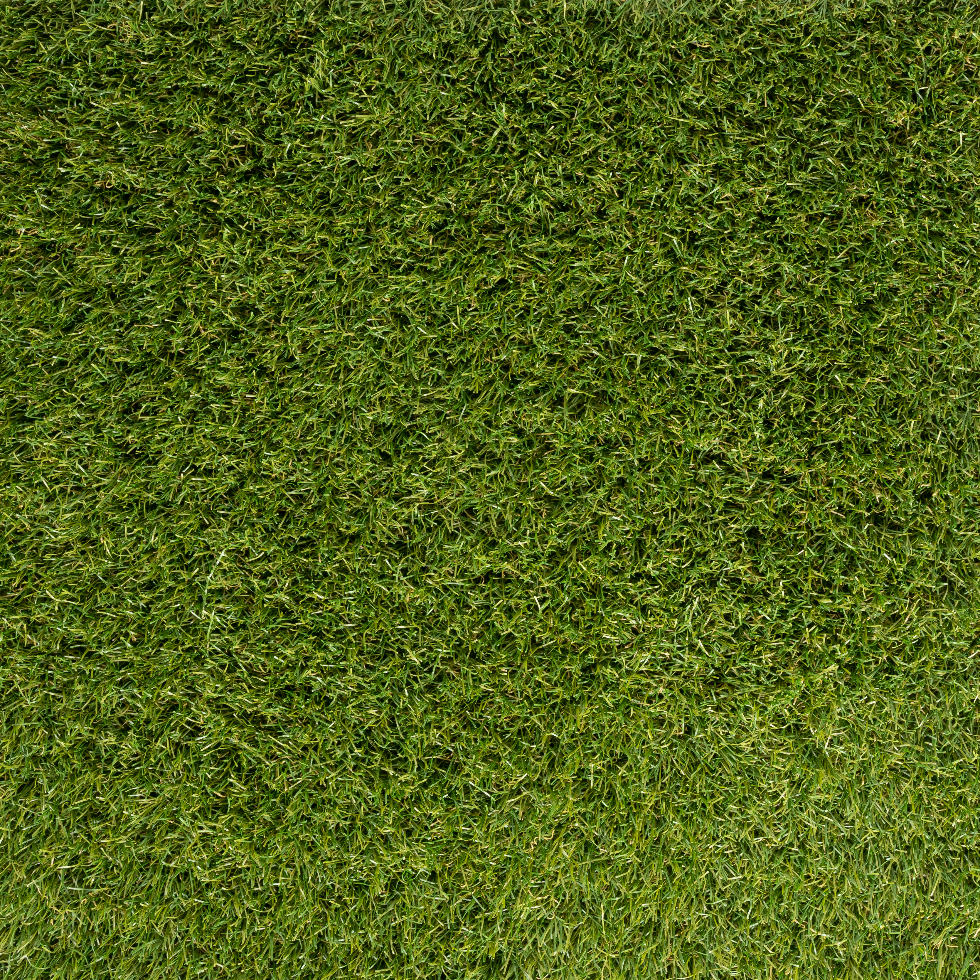  Fertilize Grass  thumbnail