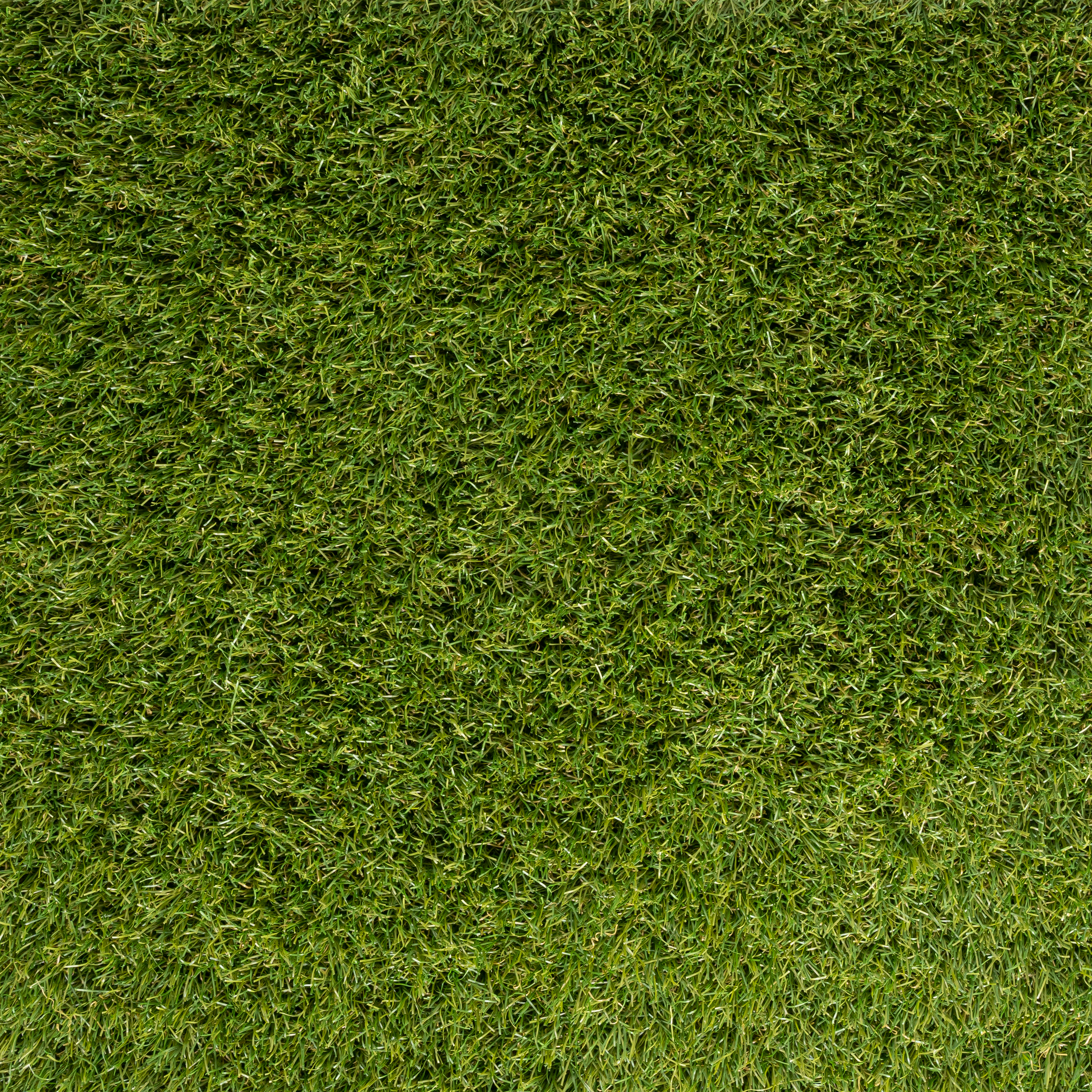  What Is The Difference Between Grass Mats And Turf?  thumbnail