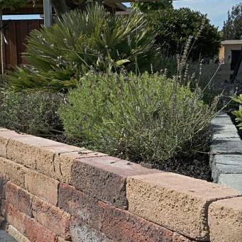 PILESTONE BLOEMBAK GLORIA