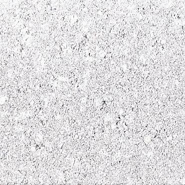 BSS 21x10.5x8 - Wit betonstraatstenen