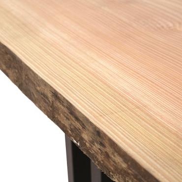 Douglas boomstamtafel 300 cm x 100 cm