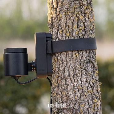 BRACE