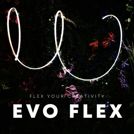 EVO FLEX DRIVER 1