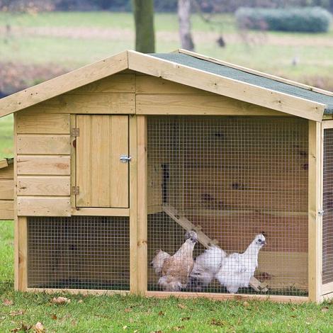 Dierenverblijf  - Kippenverblijf Barnevelder