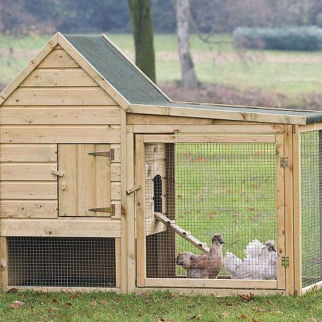 Dierenverblijf - Kippenverblijf Wyandotte