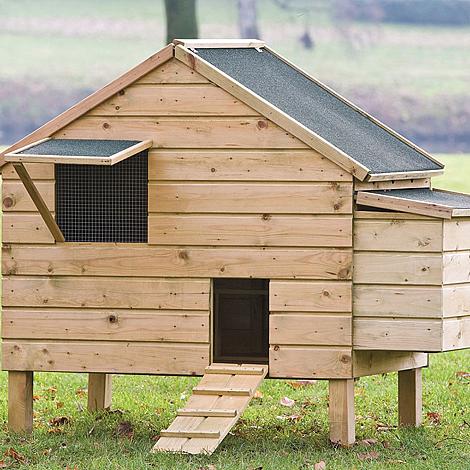 Dierenverblijf - Kippenverblijf Lakenvelder