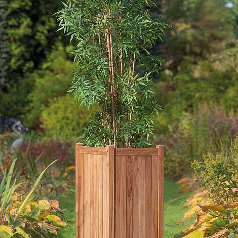 Bloembak teak - Sumatra/Java groot