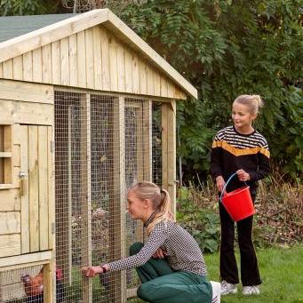 Dierenverblijf - Kippenverblijf Bielefelder