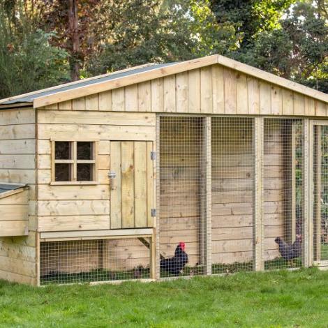 Dierenverblijf - Kippenverblijf Bielefelder
