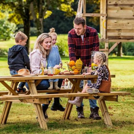 Picknicktafel vuren geïmpregneerd - Superieur