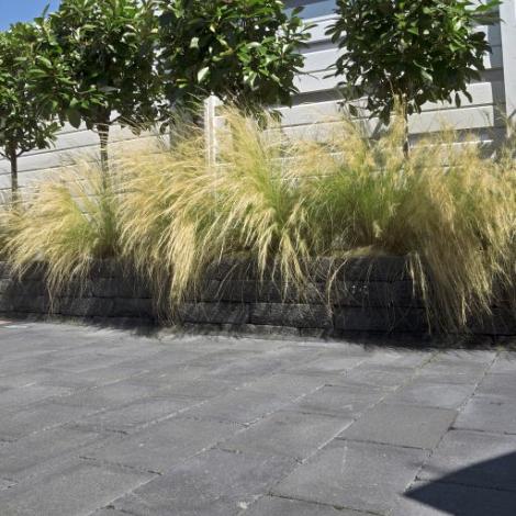 Koppelstone 20x30x6 Zwart