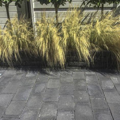 Koppelstone 20x30x6 Zwart