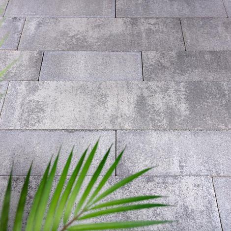 Elegance Line wildverband 7cm - Licht Grijs