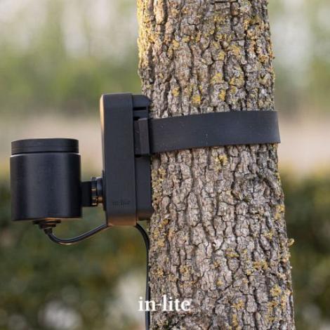 BRACE
