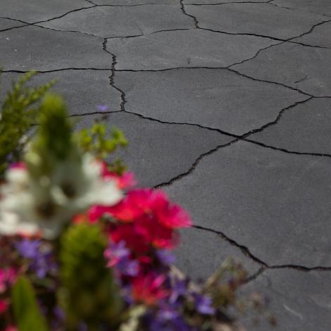 Nova Line 57x46x6 Zwart