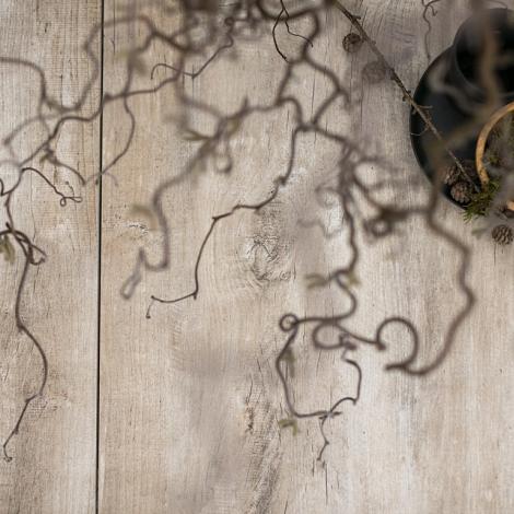 Premium Timber - Gold 30x120x4cm