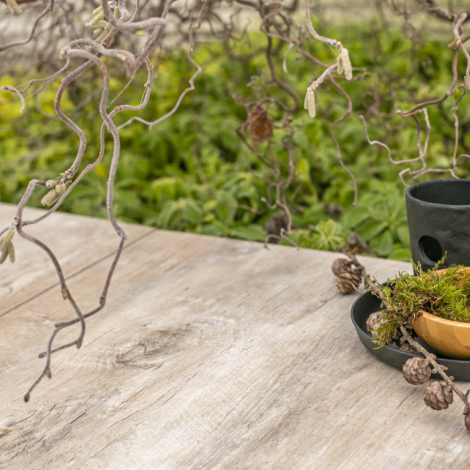 Premium Timber - Bronze 40x80x4 cm