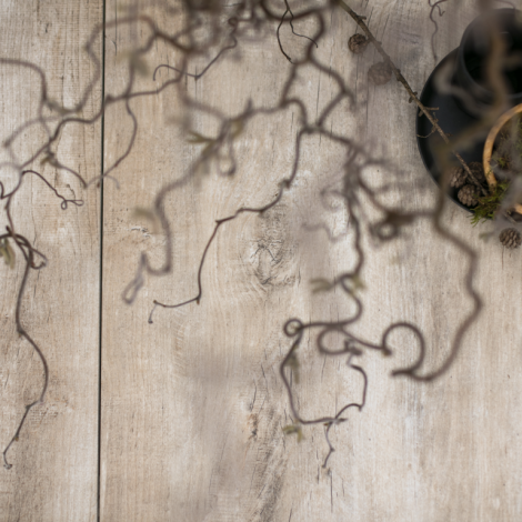 Premium Timber - Gold 40x80x4 cm