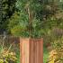 Bloembak teak - Sumatra/Java groot
