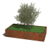Cortenstaal plantenbak Texas xxl 200 x 100 cm - 40cm hoog = met bodemplaat