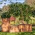 Bloembak teak - Flores groot