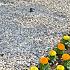 Ghedi Grey Pebble 10-20 mm BB 1500KG
