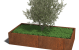 Cortenstaal plantenbak Texas xxl 200 x 100 cm - 40cm hoog = met bodemplaat