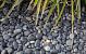 Beach pebbles zwart 16-25 - 1500KG - BB