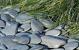 Flat pebbles groen 30/60mm 1500KG BB