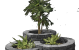 PILESTONE BLOEMBAK COAL
