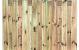 Tuinscherm geïmp. 17 planks (15+2) - Coevorden 150x180cm - schutting