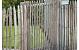 Kastanjepoort (incl. 2 palen) - B120xH120cm
