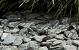 Canadian slate groen 30/60mm 1500KG BB
