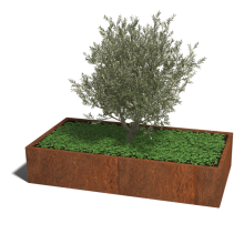 Cortenstaal plantenbak Texas xxl 200 x 100 cm - 40cm hoog = met bodemplaat