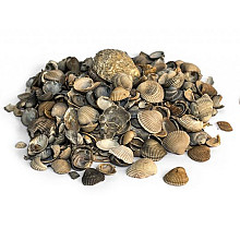 Schelpen 8-16mm 15 Liter