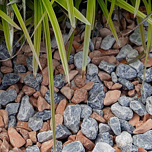 Baltic blend grind 16-25 - 1500KG - BB