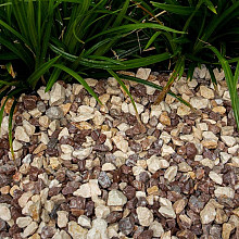 Cappuccino split 8/16mm 1500KG BB