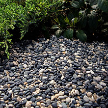 Natural blend pebbles 5/8mm 1500KG BB