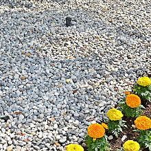 Ghedi Grey Pebble 10-20 mm MBB 750KG