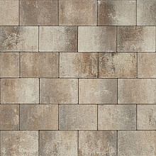Seleniton 20x30x6 Bruin/Beige/Zwart
