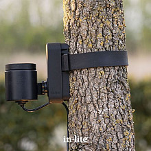 BRACE