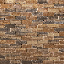 Koppelstone 21x6,8x6 Bruin/Beige/Zwart