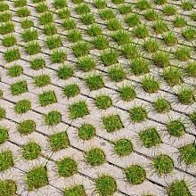 grasbetontegels